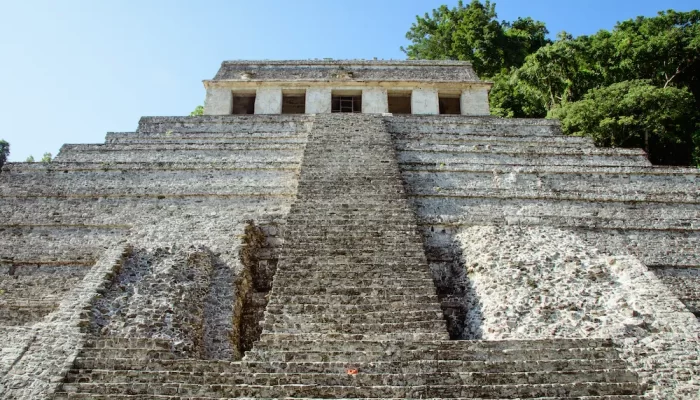 antepasados palenque